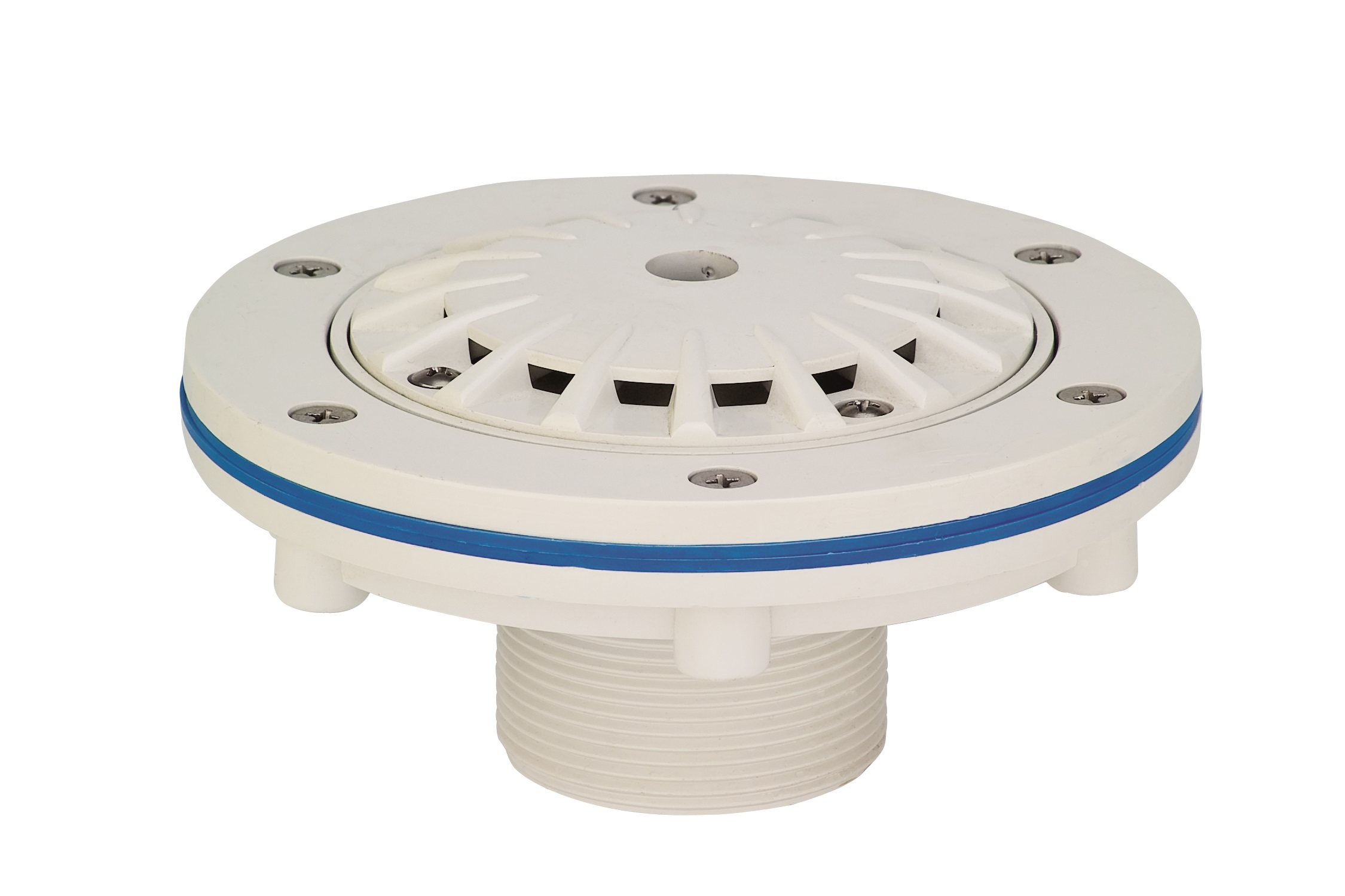 WHITE LINE Dysza denna EURO